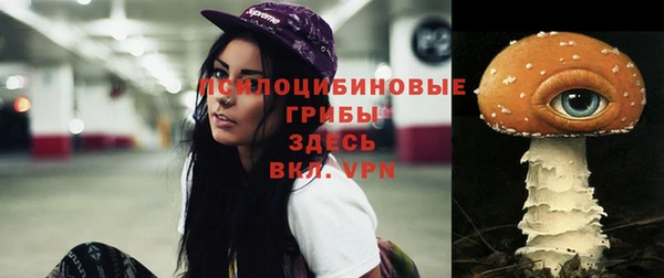круглые Алексеевка