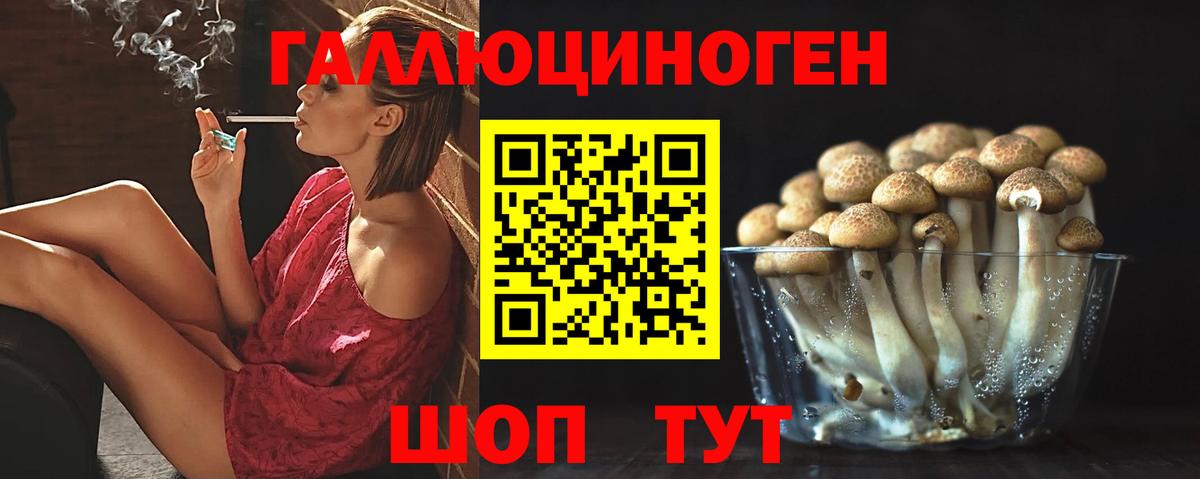 Галлюциногенные грибы прущие грибы Апшеронск